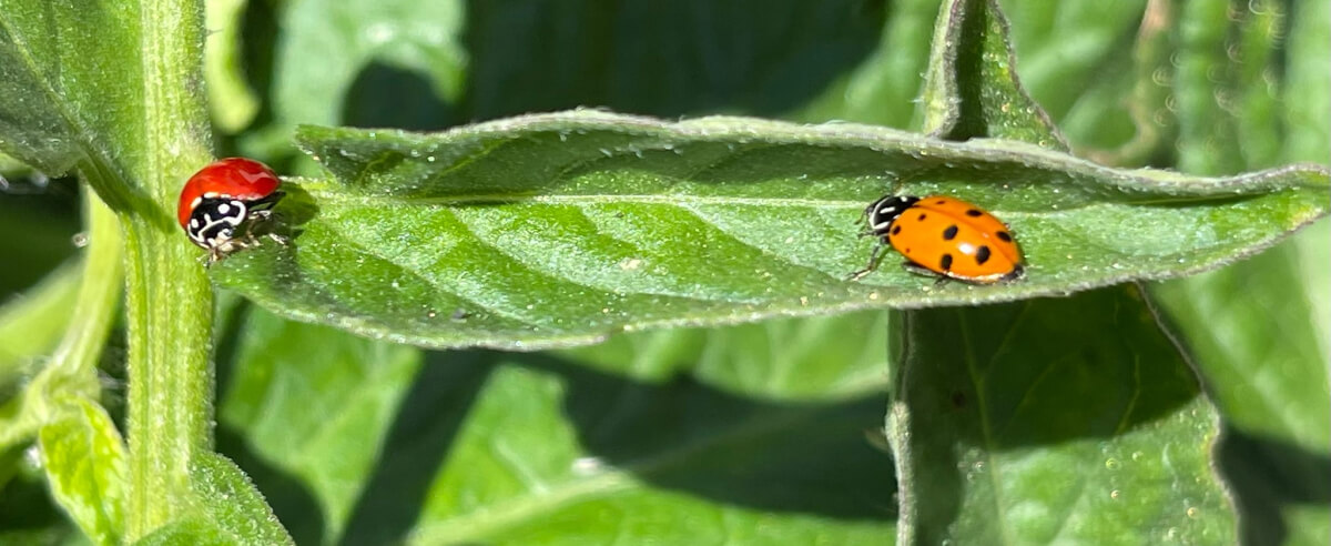 corporate-sustainability-policy-1