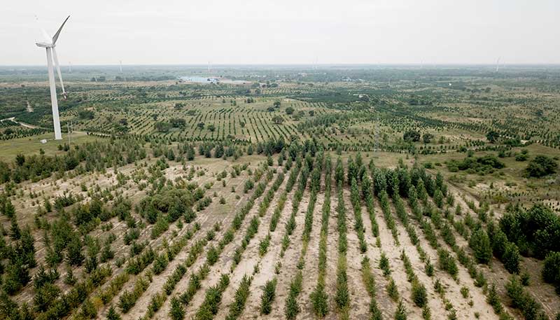 pic-environmental-conservation-2