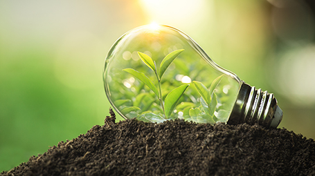 pic-home-environmental-protection-and-sustainability-foundation