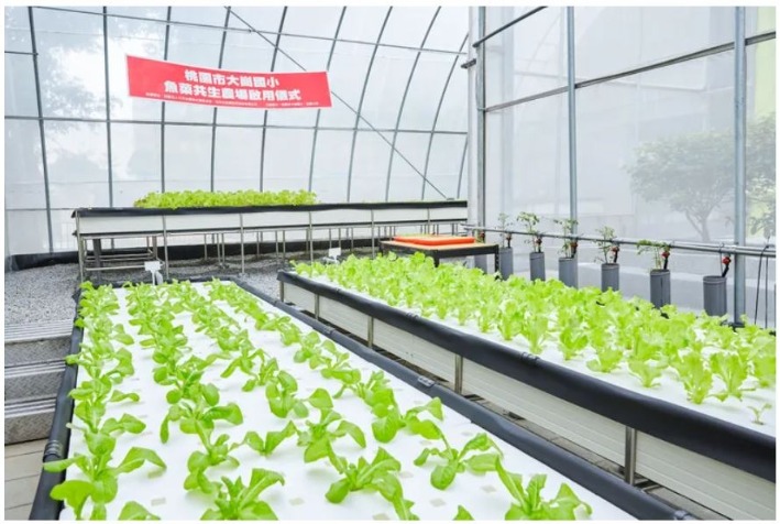 日月光推動「魚菜共生」進駐校園